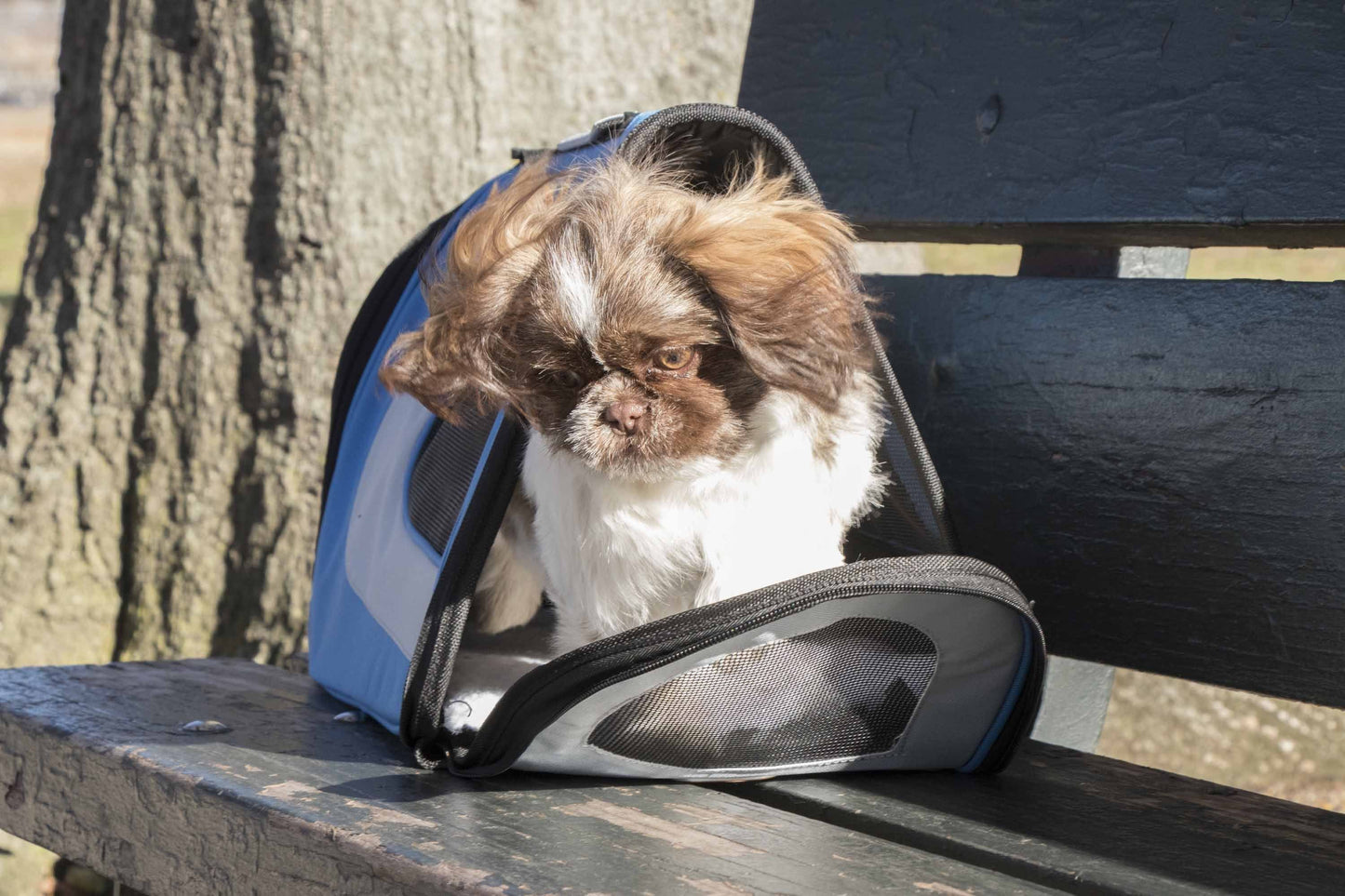 Pet Life Sporty Mesh Airline Approved Zippered Folding Collapsible Travel Pet Dog Carrier