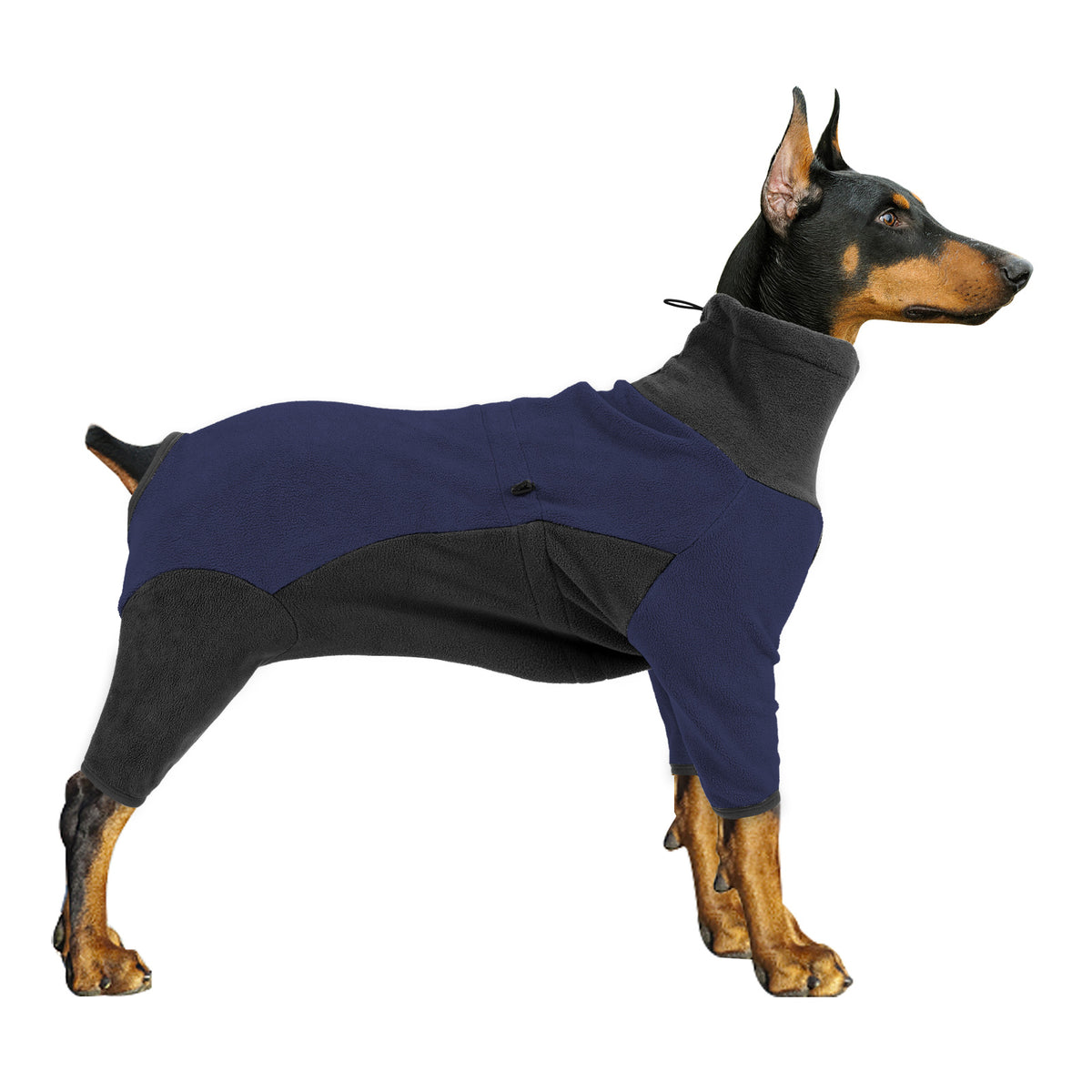 Regal Fleece Dog Apparel