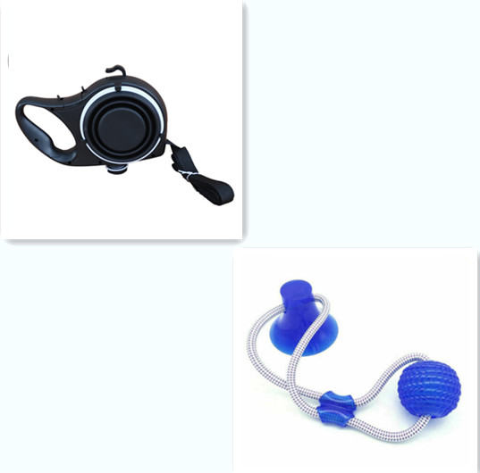 Tri-Color Dog Leash Kit with Water Cup