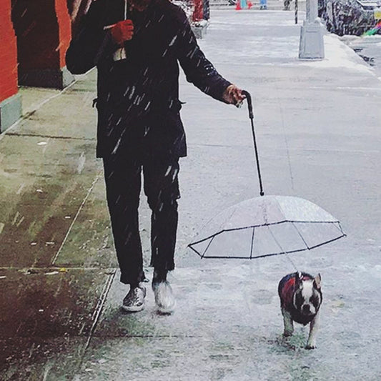 Transparent Pet Umbrella Dog Leash Umbrella