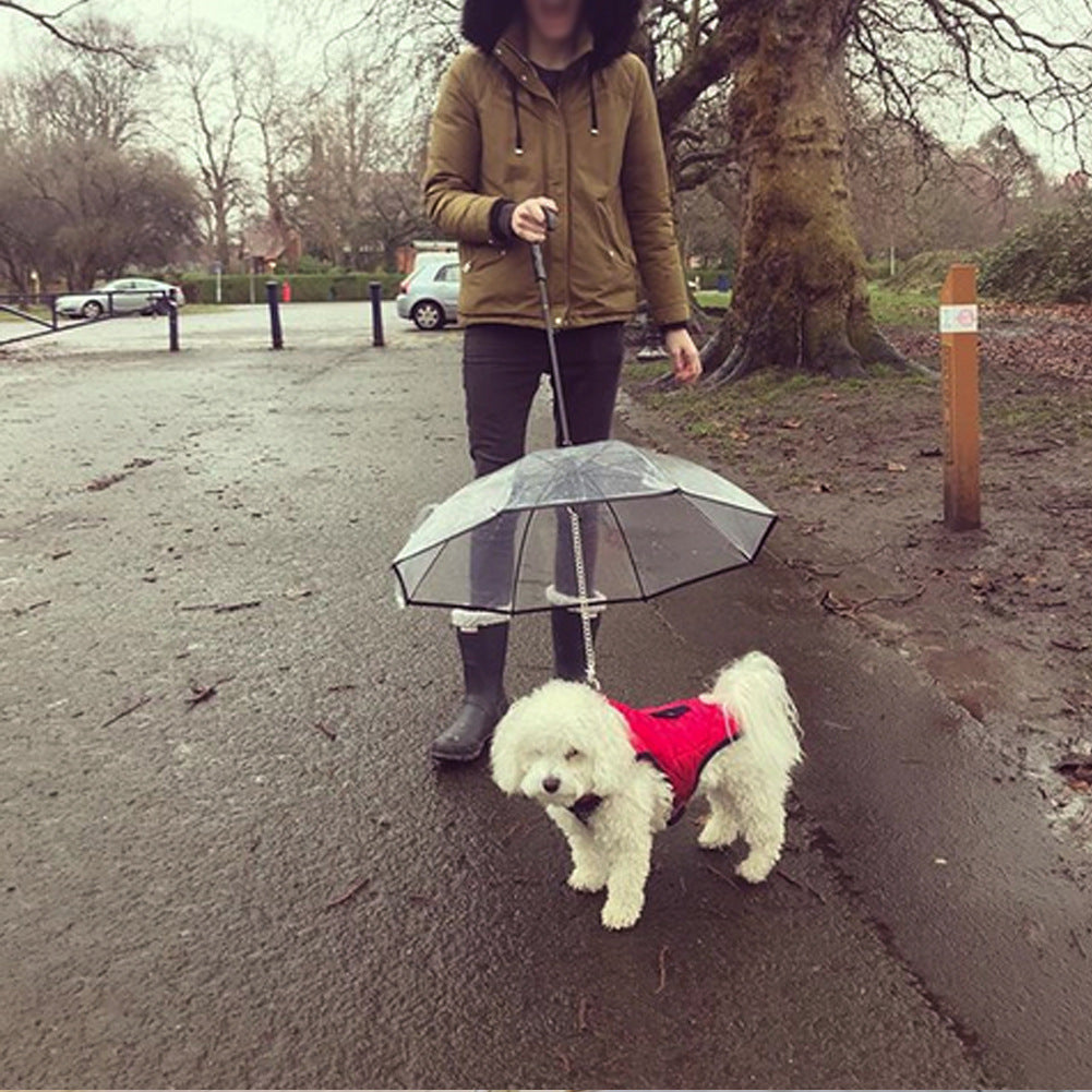 Transparent Pet Umbrella Dog Leash Umbrella