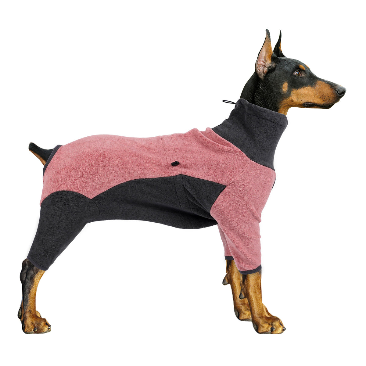 Regal Fleece Dog Apparel