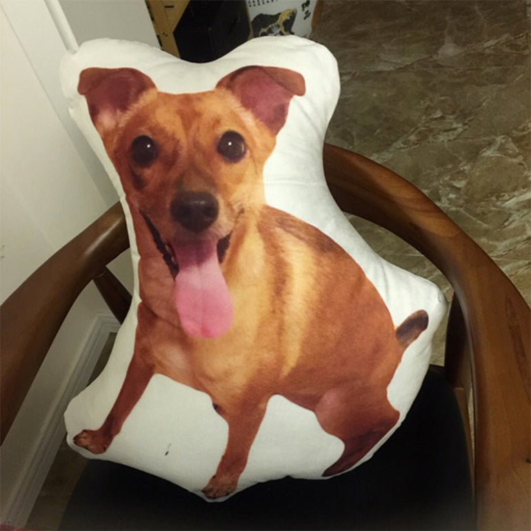 Personalized Customize Pet Pillow