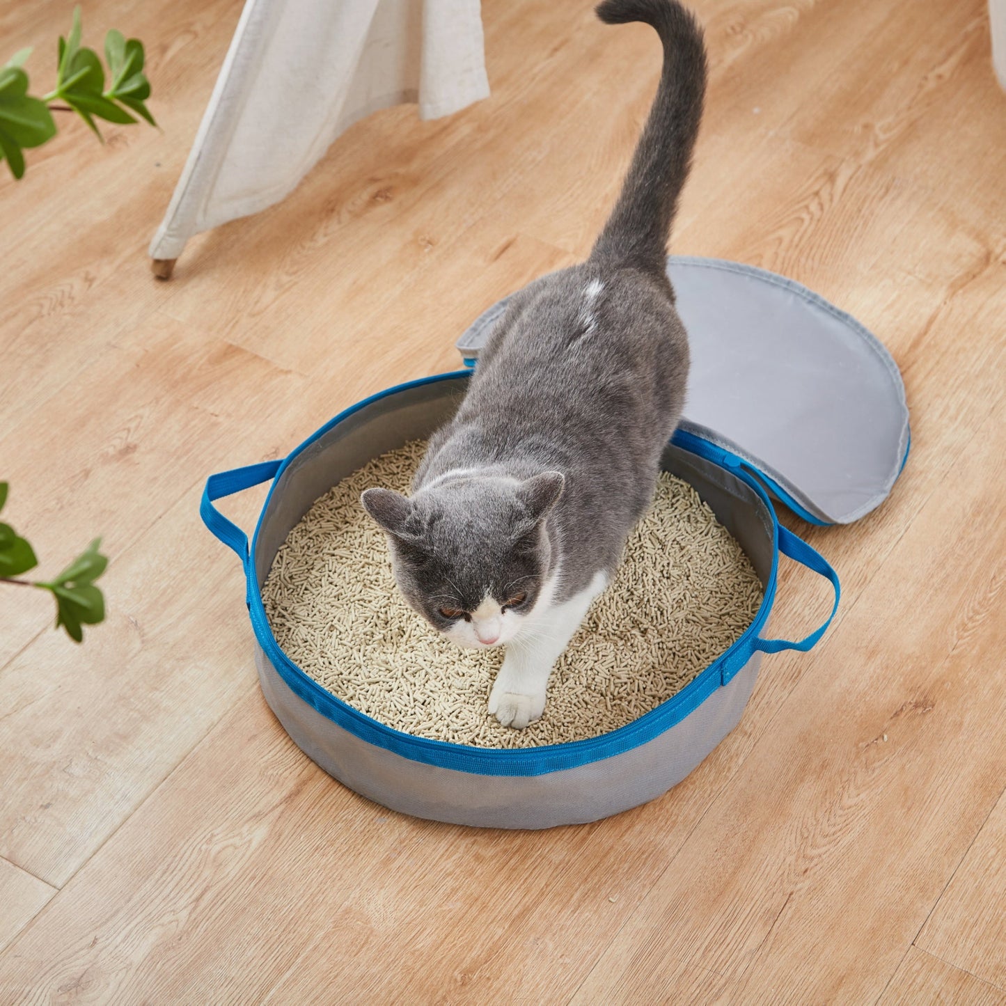 Porta Potty Litter Box for Traveling Kitties