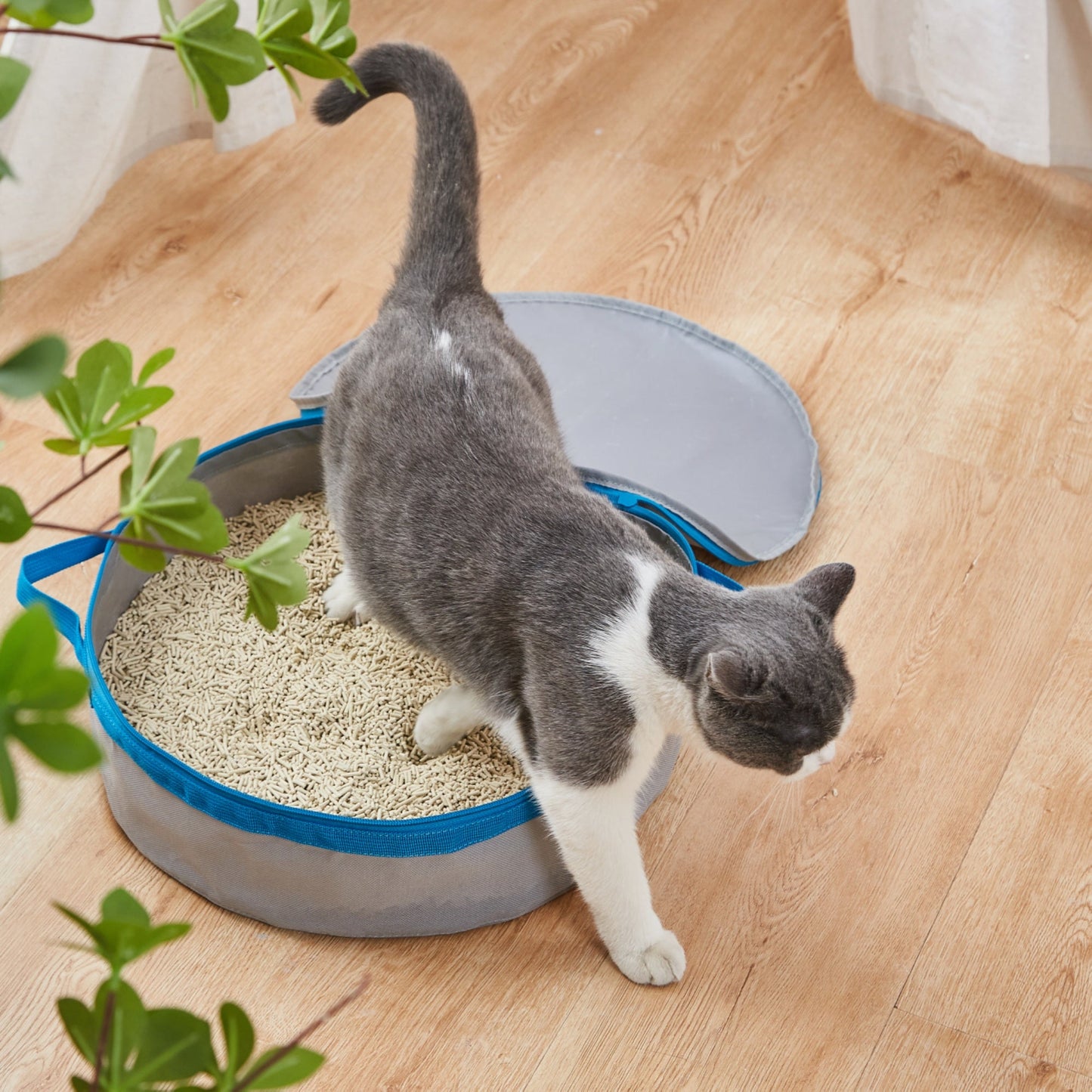 Porta Potty Litter Box for Traveling Kitties