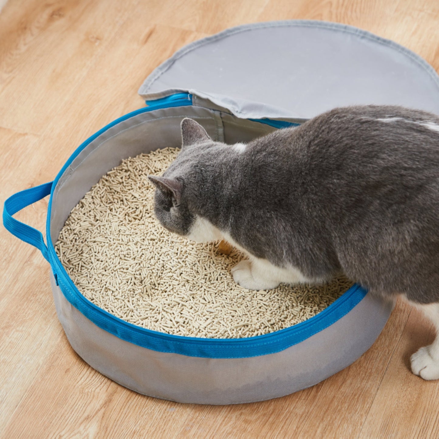 Porta Potty Litter Box for Traveling Kitties