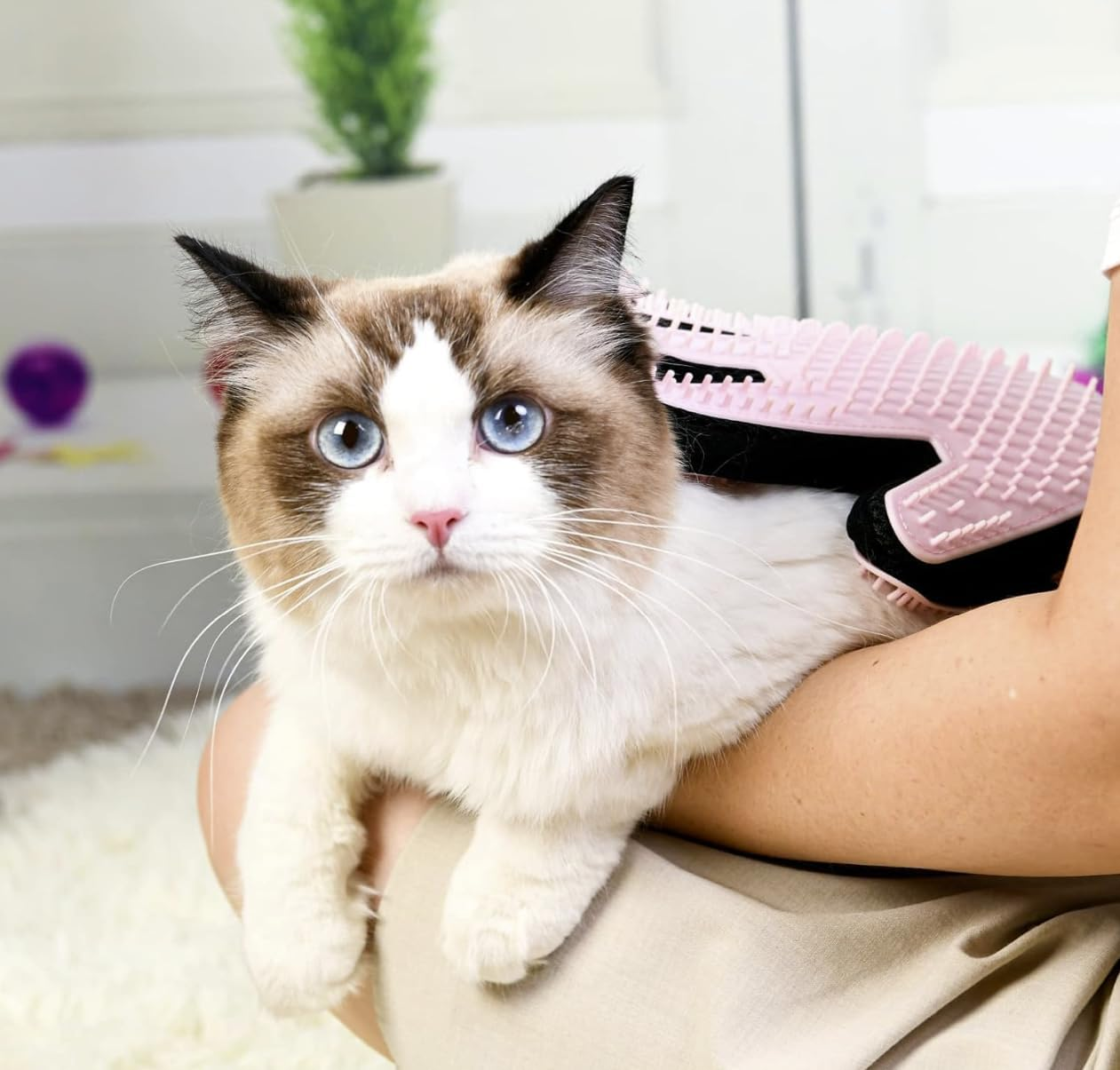 Pet Grooming Hair Removal Glove, One Size fits All, Double-Side can be Worn on Both Hands-1 Piece
