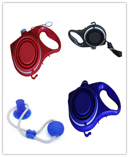 Tri-Color Dog Leash Kit with Water Cup