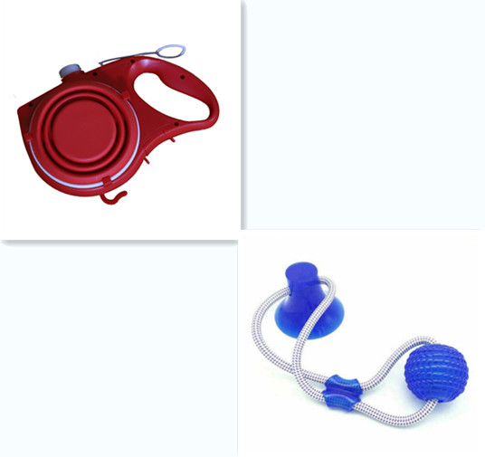Tri-Color Dog Leash Kit with Water Cup