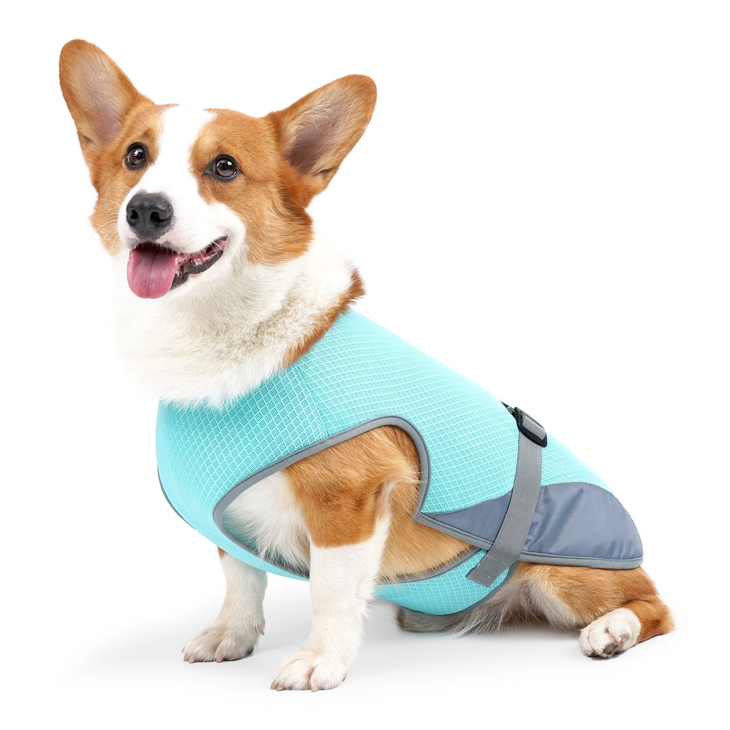 Pet Dog Cooling Clothing Vest