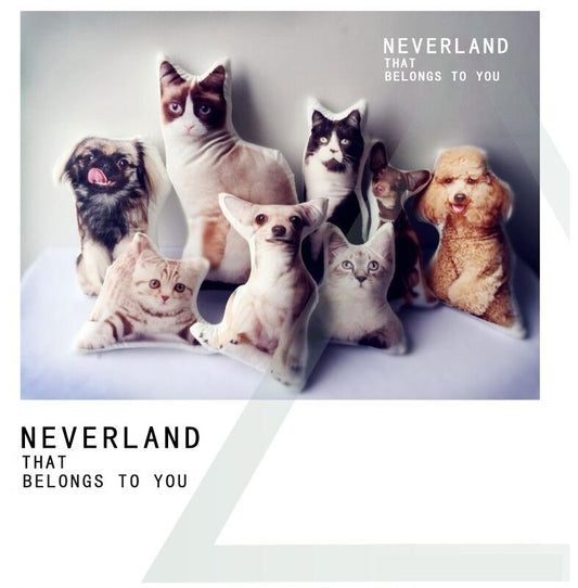 Personalized Customize Pet Pillow