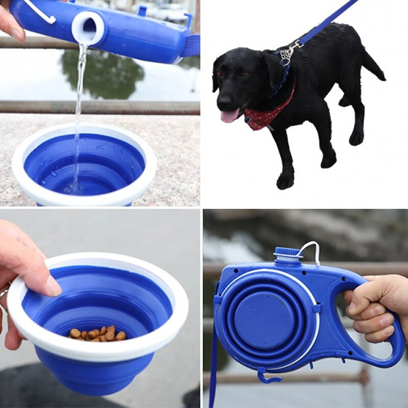 Tri-Color Dog Leash Kit with Water Cup