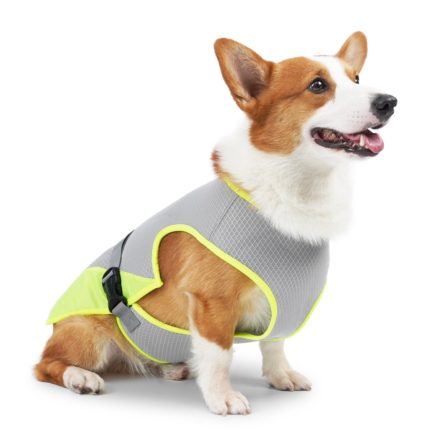 Pet Dog Cooling Clothing Vest