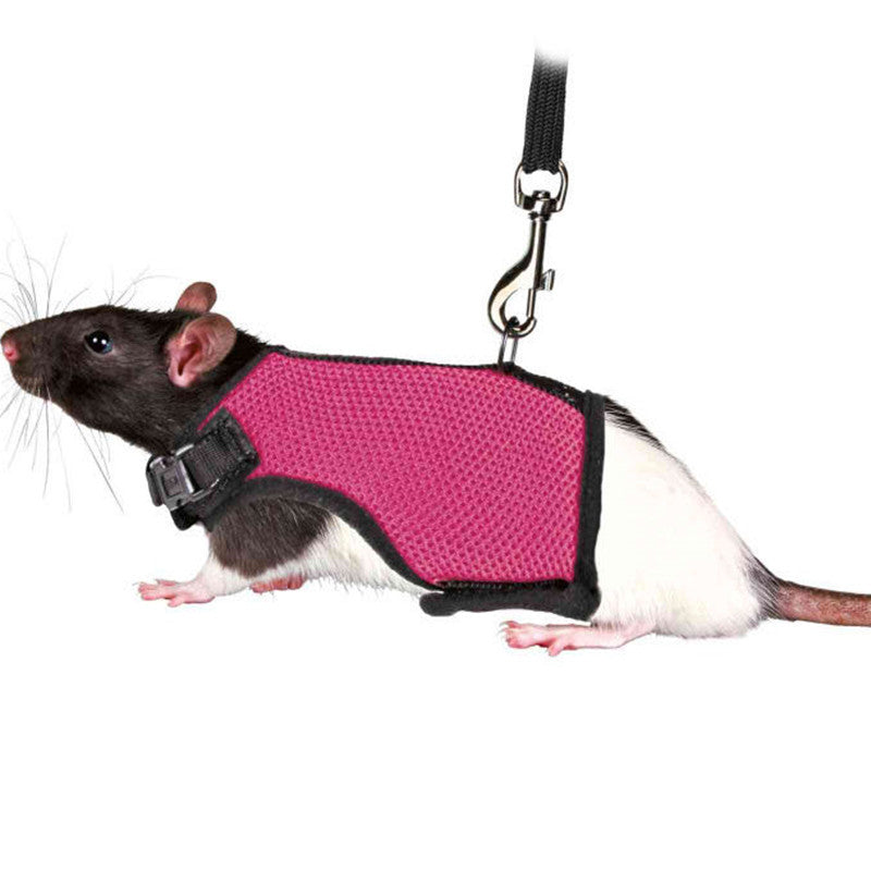 Bunny Hamster clothes harness leash