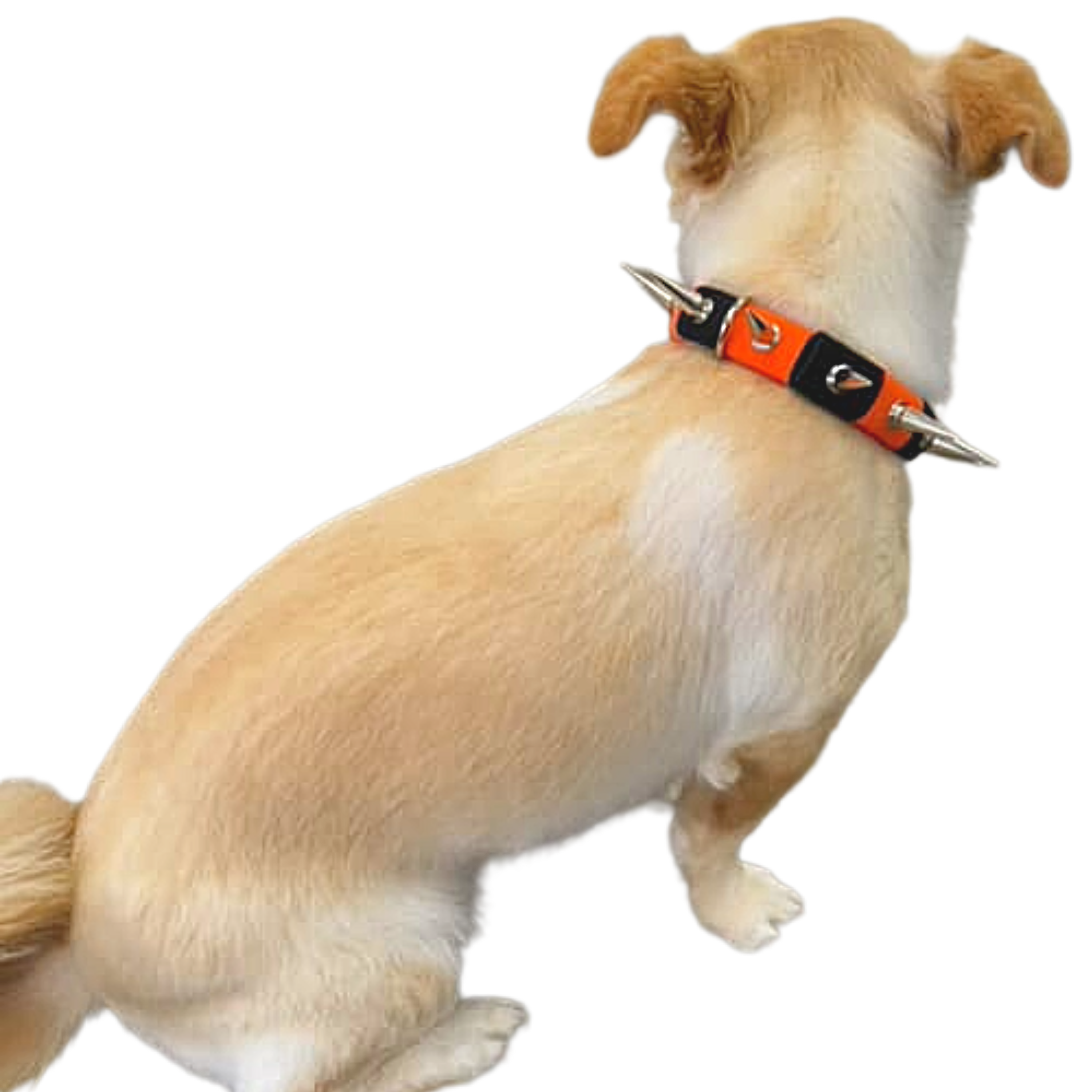 CoyoteCollar Save Your Beloved Pets Puppies Dogs from harm