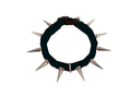 CoyoteCollar Save Your Beloved Pets Puppies Dogs from harm