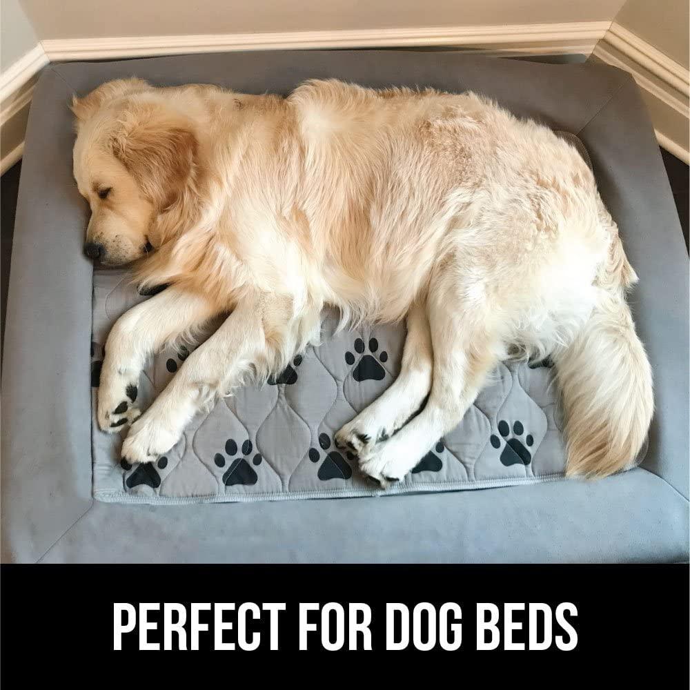 Winter Pet Comfort Bundle - Cozy Sweater, Plush Bed & Reusable Pee Pads