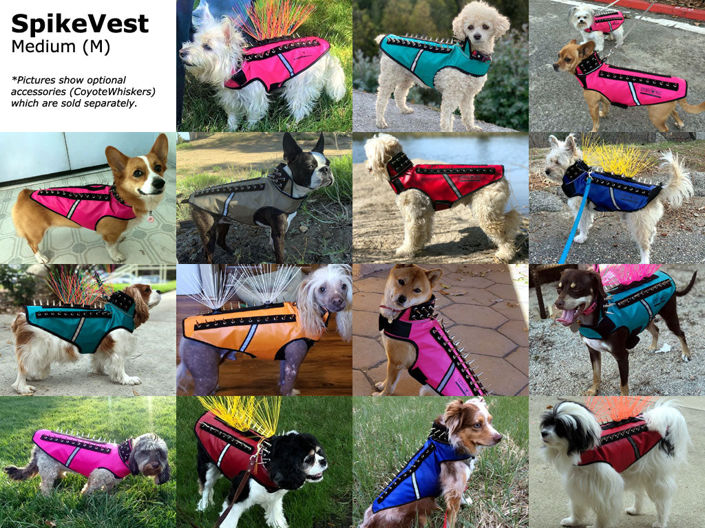 SpikeVest helps protect your beloved dogs and puppies from being attacked, keeping your furry babies safe
