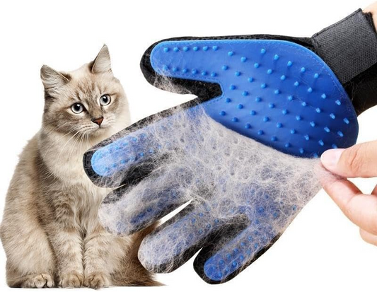 Pet Grooming Glove & Round Brush 2‑Piece Set