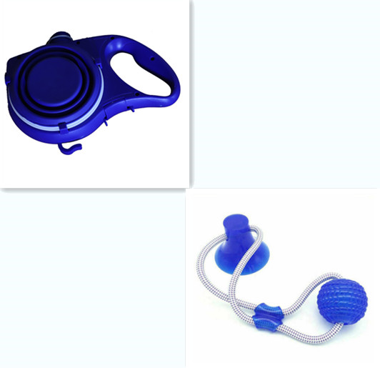 Tri-Color Dog Leash Kit with Water Cup