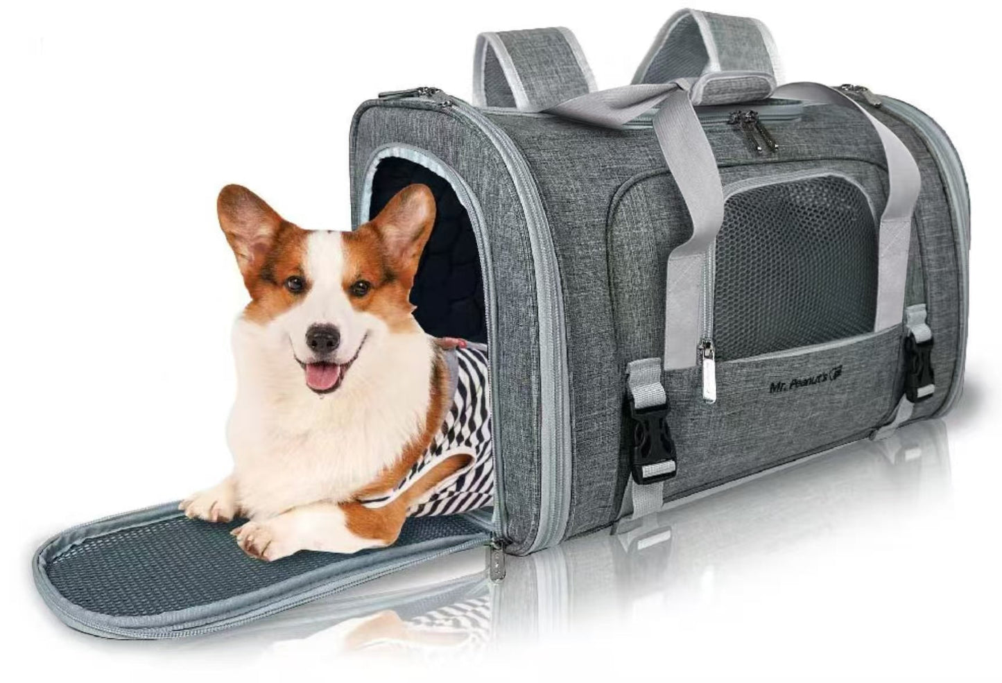 Monterey Series Airline Compliant Horizontal Backpack Pet Carrier