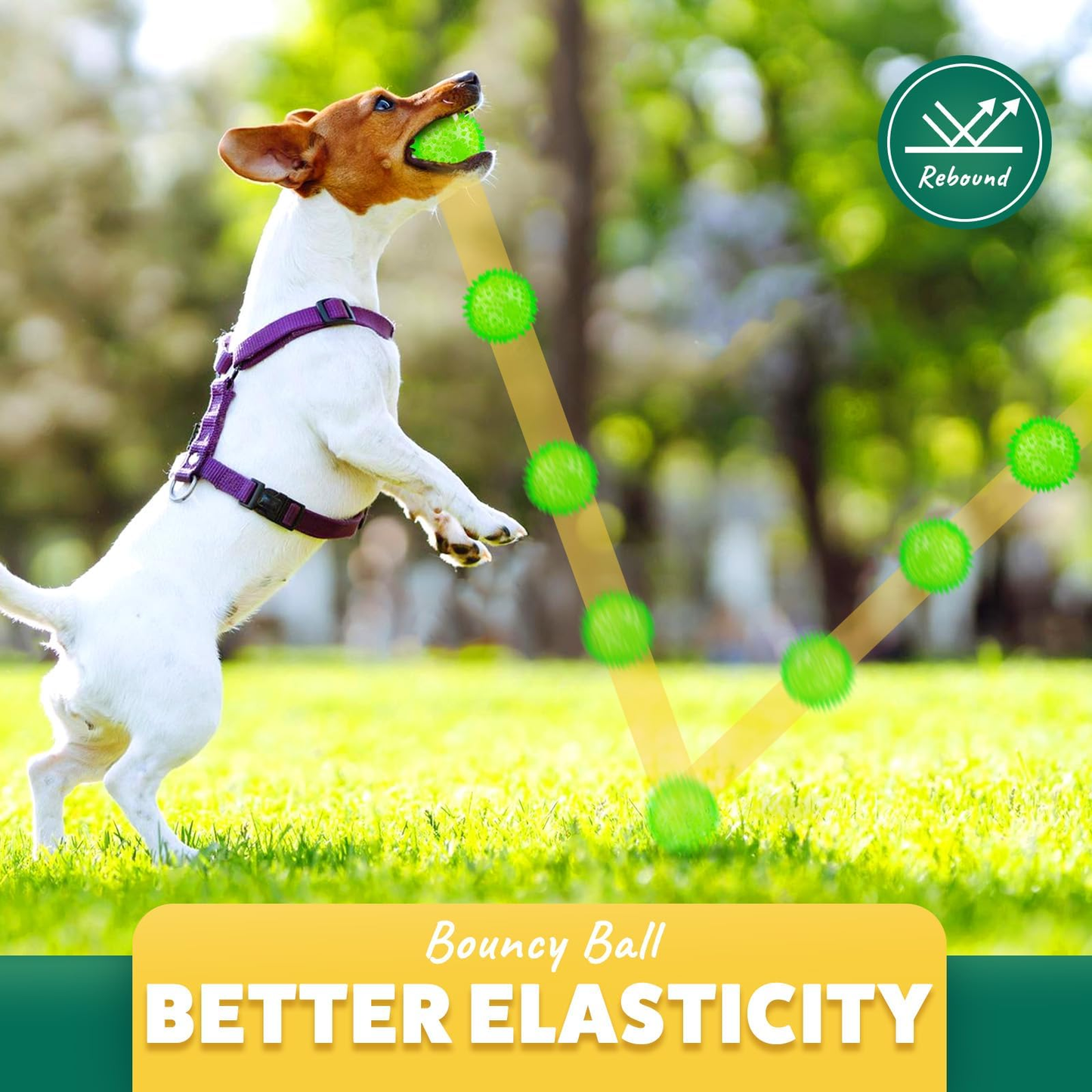 2.6” Squeaky Interactive Dog Balls for Puppy Teething Chew Toys for Small Dogs for Clean Teeth and Training