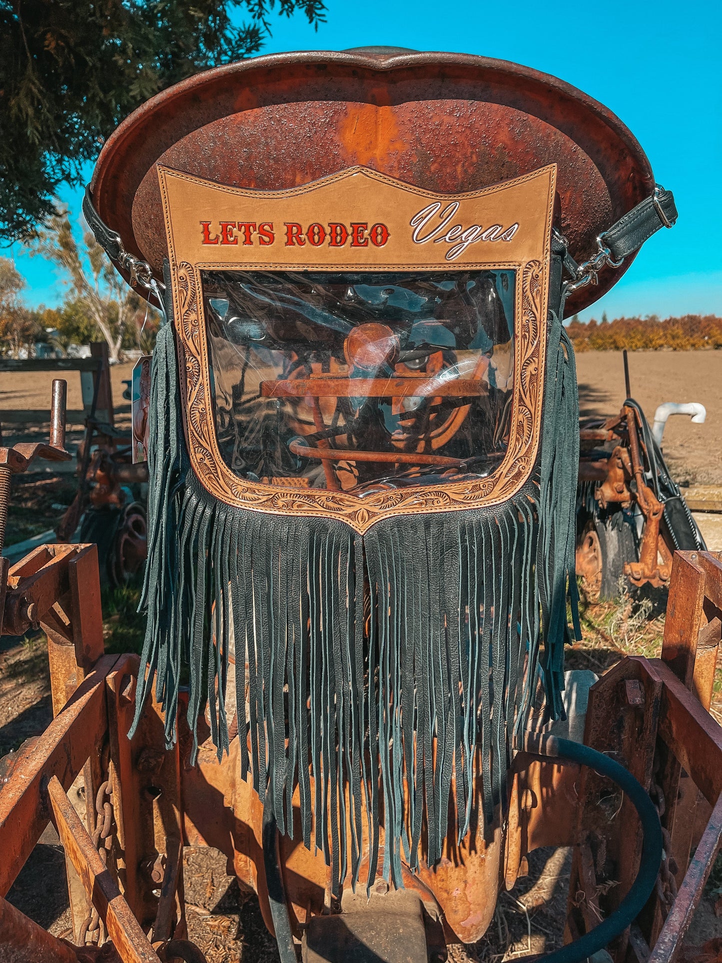Let’s Rodeo Vegas NFR Clear Bag Policy by Beth Marie Exclusive