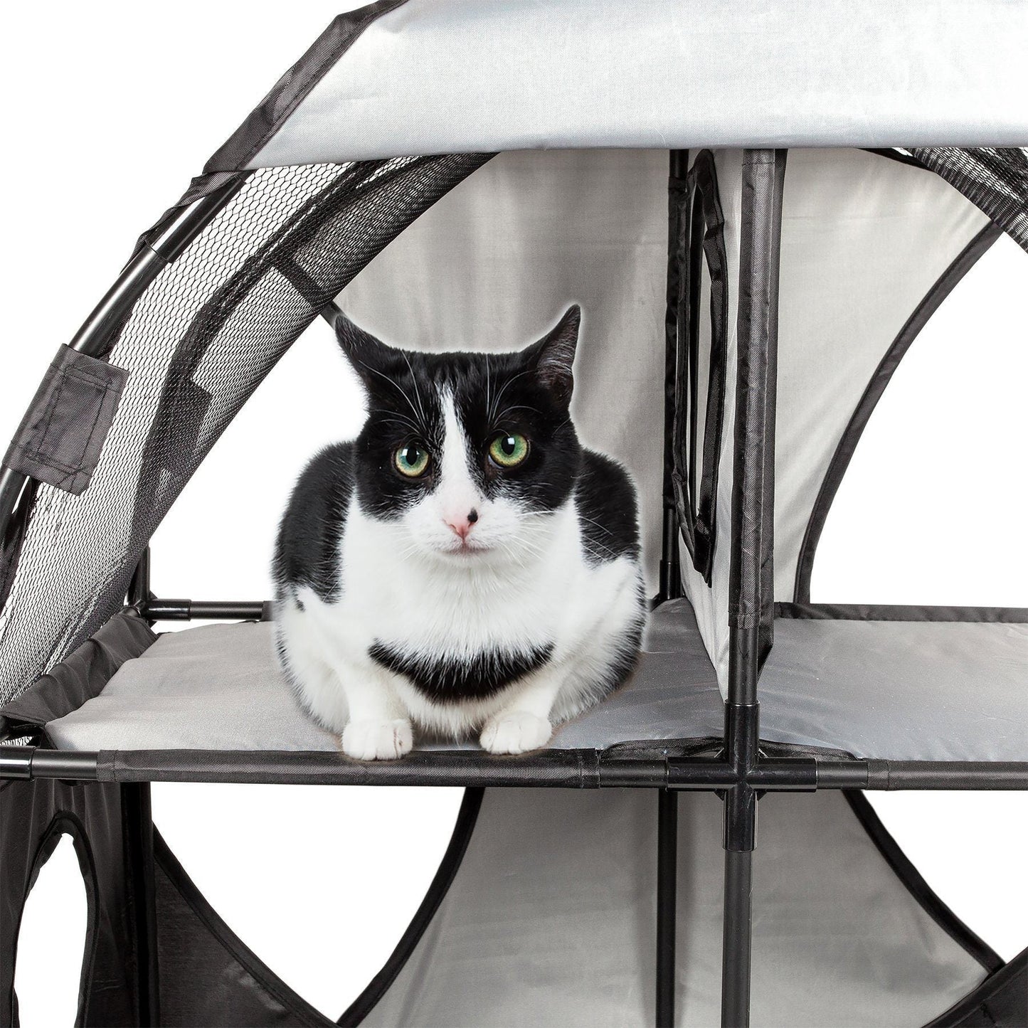 Pet Life'Kitty-Play' Collapsible Travel Interactive Kitty Cat Tree Maze House Lounger Tunnel Lounge