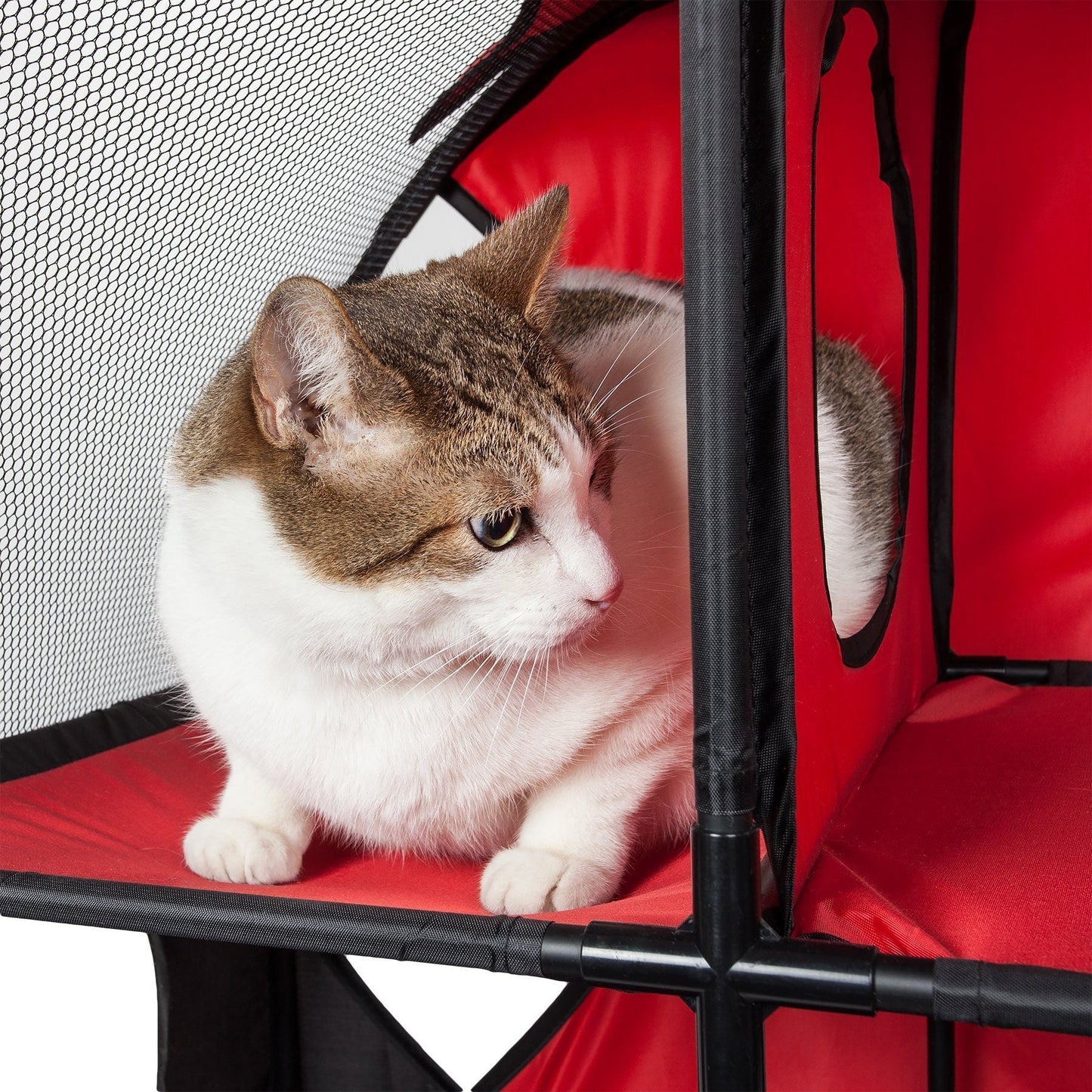 Pet Life'Kitty-Play' Collapsible Travel Interactive Kitty Cat Tree Maze House Lounger Tunnel Lounge