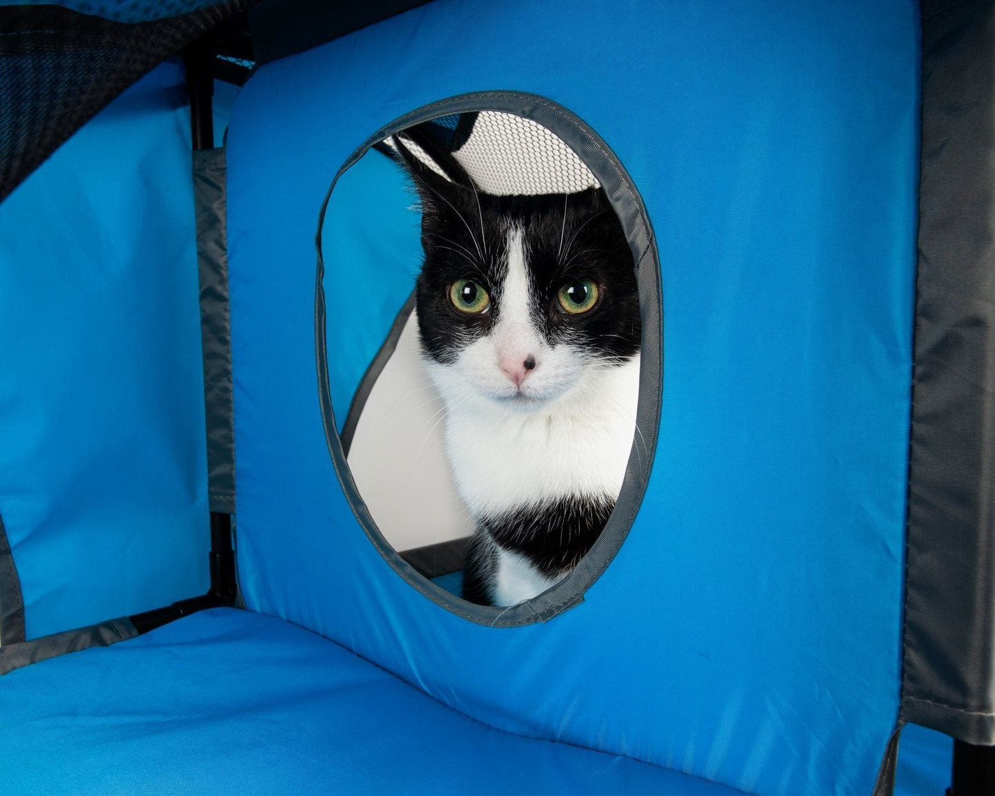 Pet Life'Kitty-Play' Collapsible Travel Interactive Kitty Cat Tree Maze House Lounger Tunnel Lounge