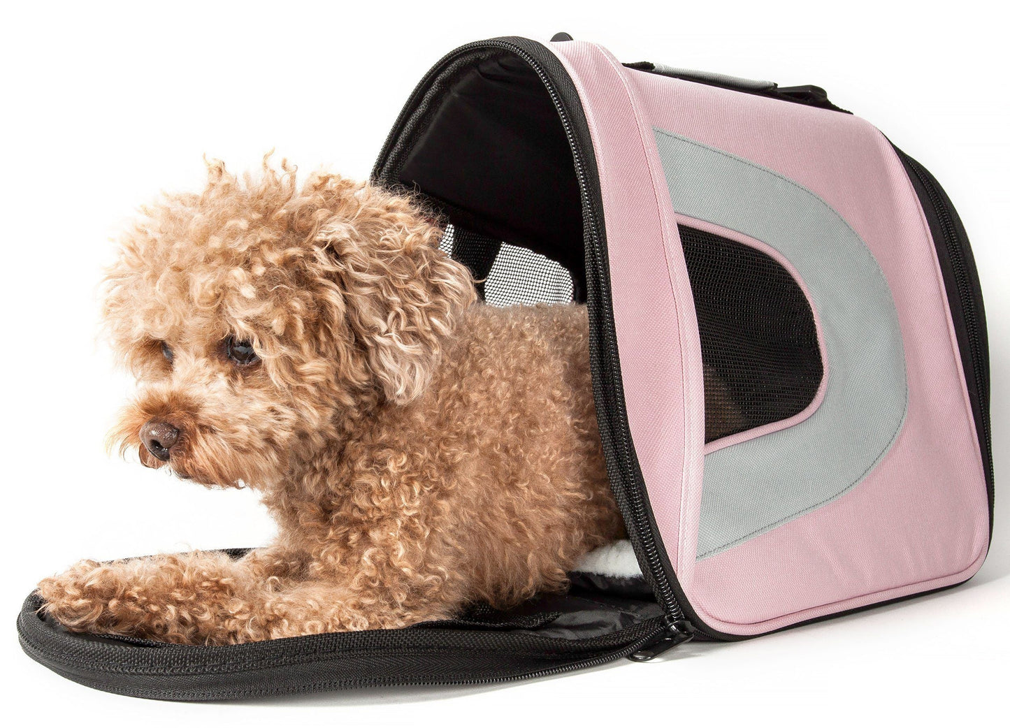 Pet Life Sporty Mesh Airline Approved Zippered Folding Collapsible Travel Pet Dog Carrier