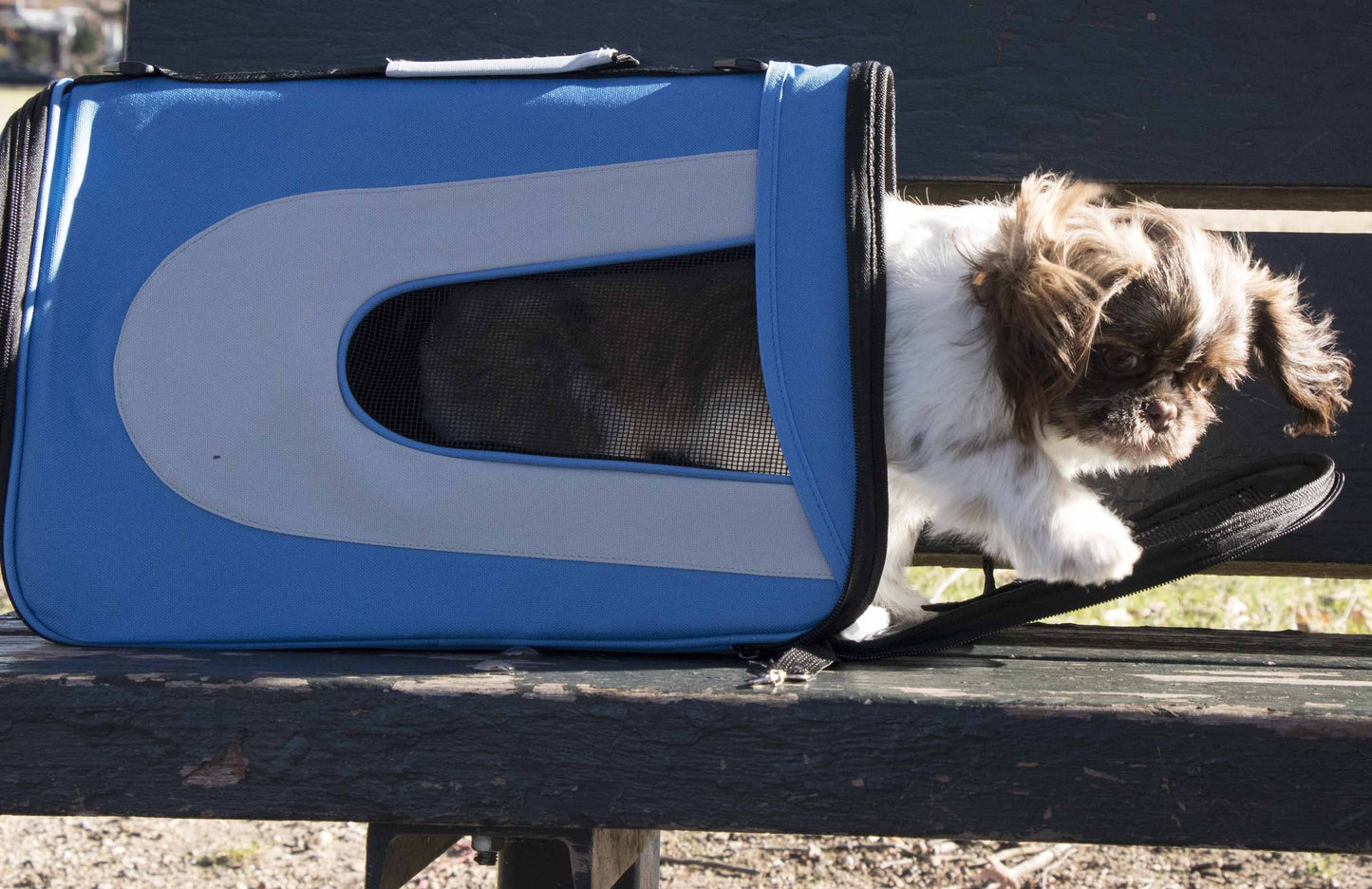 Pet Life Sporty Mesh Airline Approved Zippered Folding Collapsible Travel Pet Dog Carrier